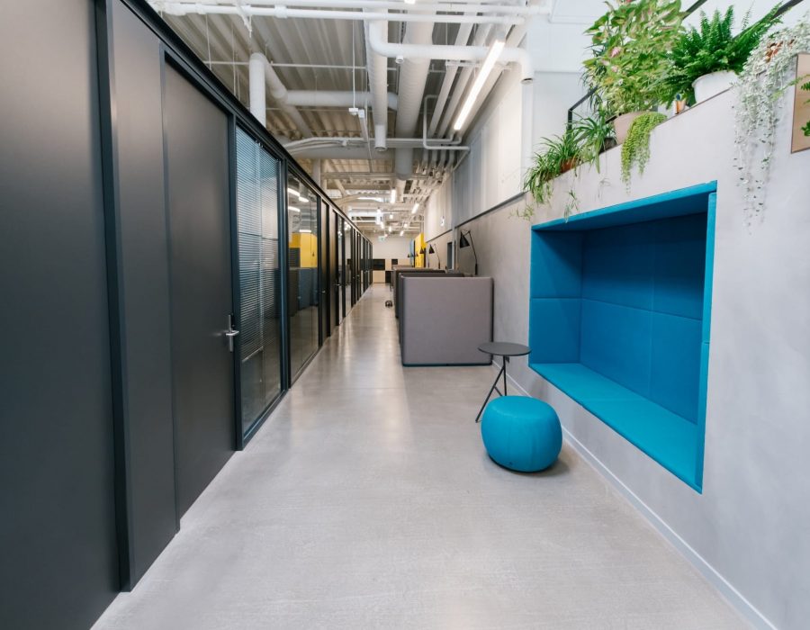 Interior design of hallway in contemporary company office with colorful elements and flowerpots in decoration